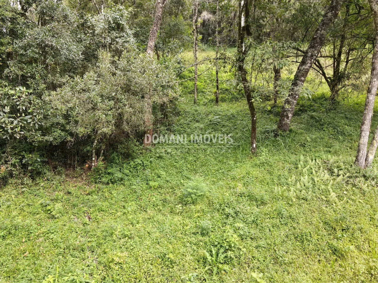 Terreno à venda de 1.270 m² em Campos do Jordão, SP, Brasil