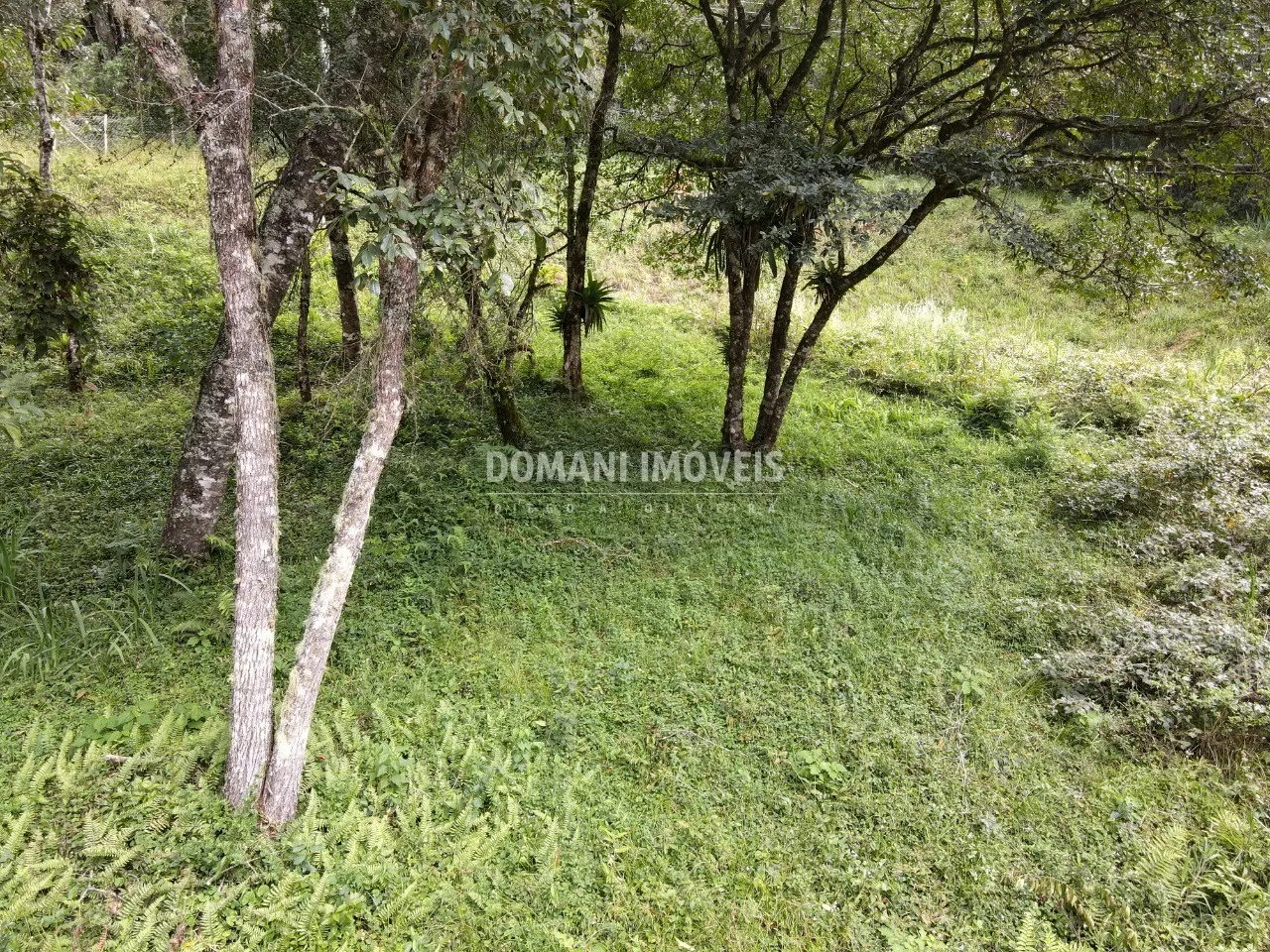 Terreno à venda de 1.270 m² em Campos do Jordão, SP, Brasil