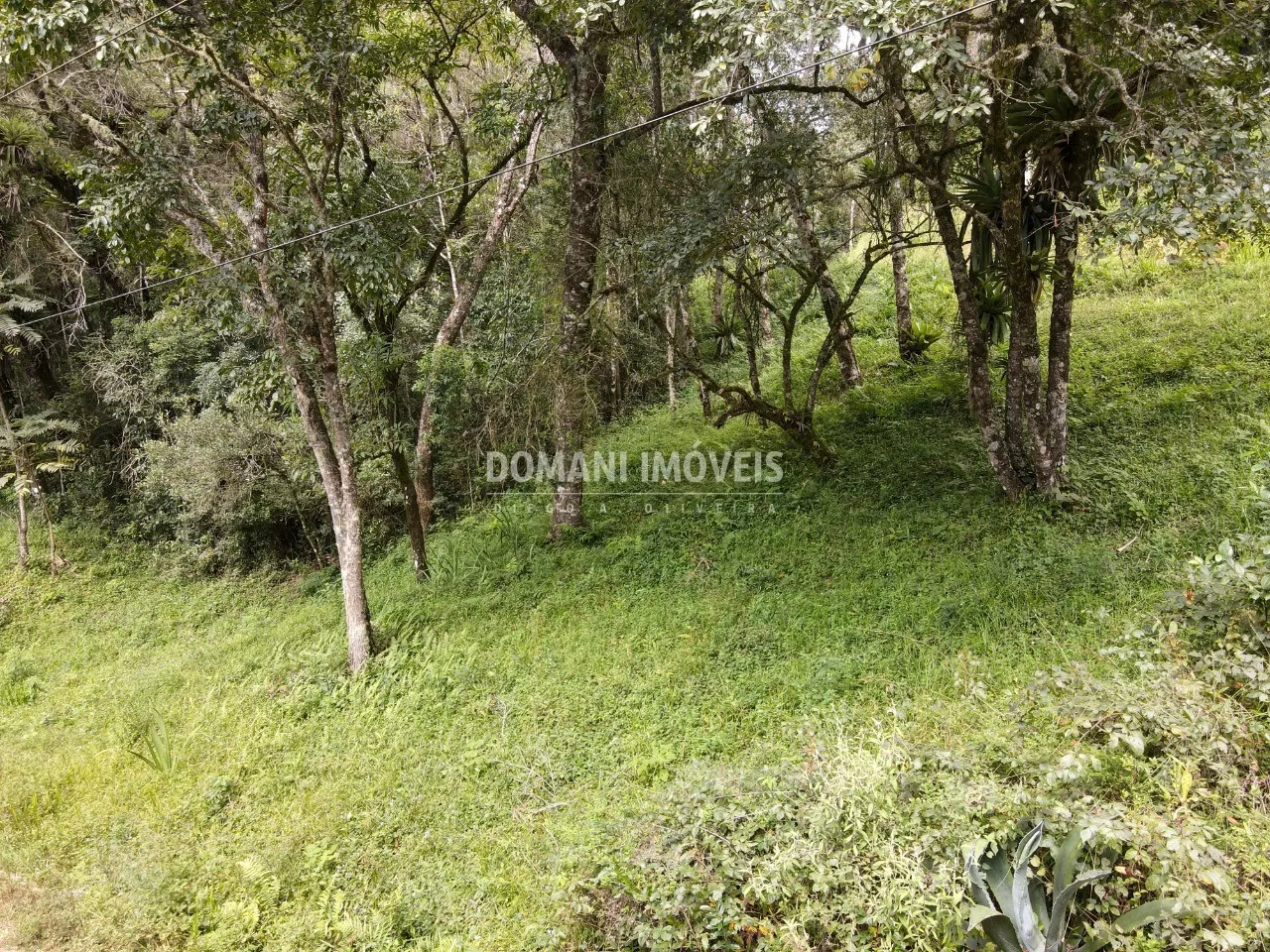 Terreno à venda de 1.270 m² em Campos do Jordão, SP, Brasil