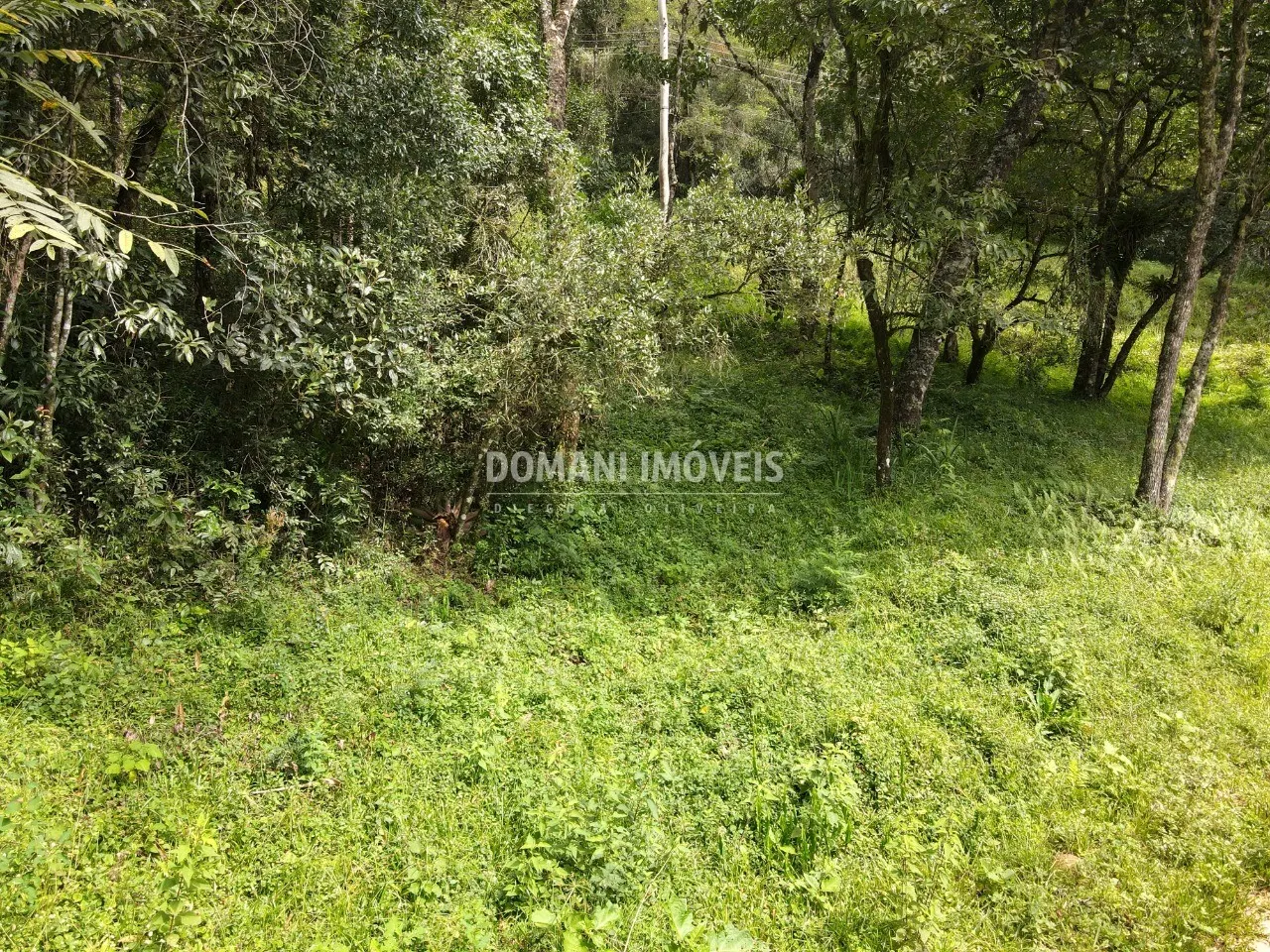 Terreno à venda de 1.270 m² em Campos do Jordão, SP, Brasil