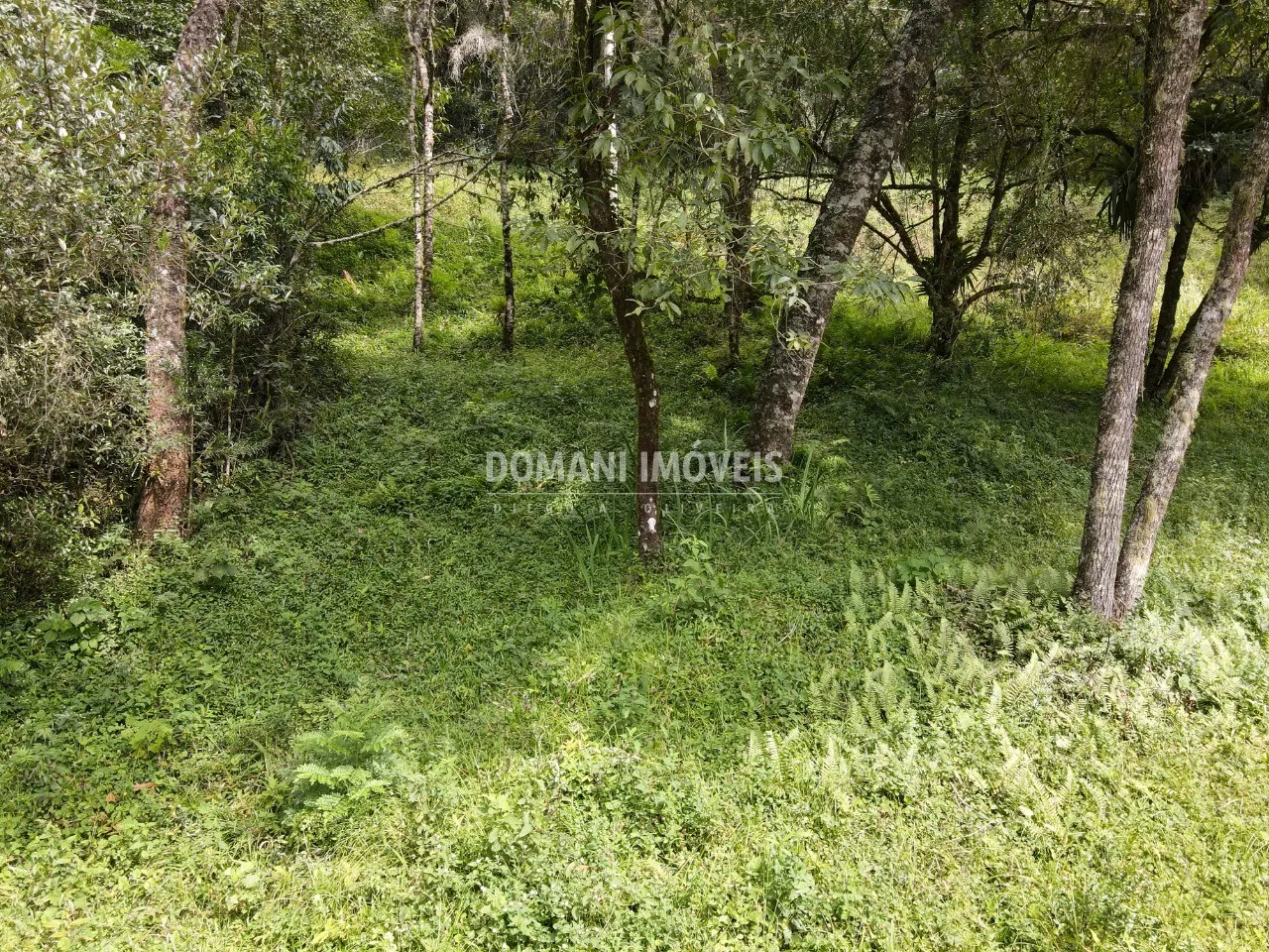 Terreno à venda de 1.270 m² em Campos do Jordão, SP, Brasil