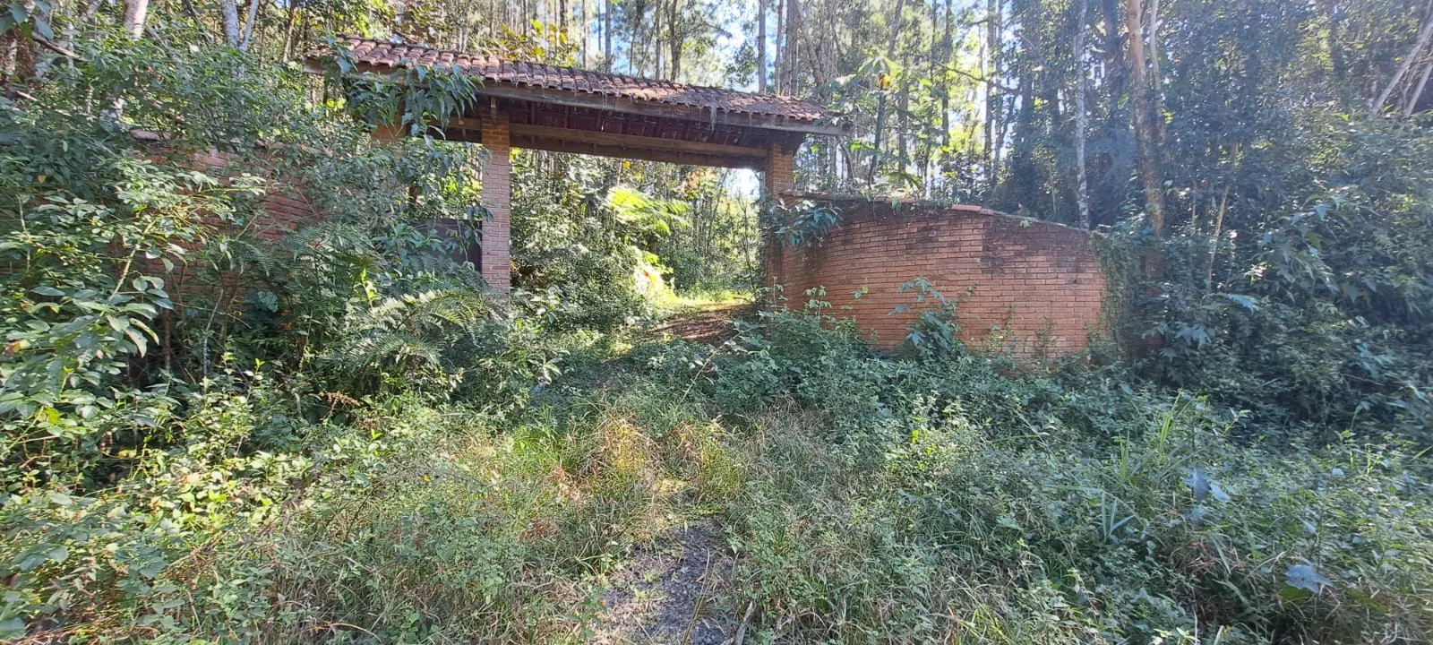 Sítio à venda de 27 ha em Pedro de Toledo, SP, Brasil
