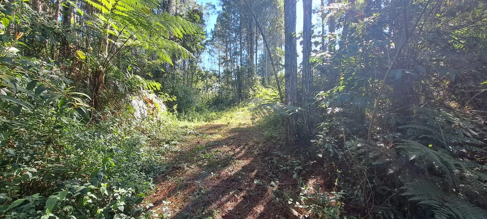 Sítio à venda de 27 ha em Pedro de Toledo, SP, Brasil