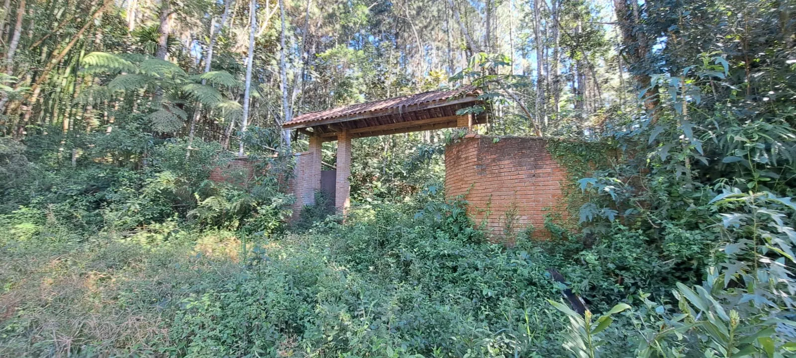 Sítio à venda de 27 ha em Pedro de Toledo, SP, Brasil