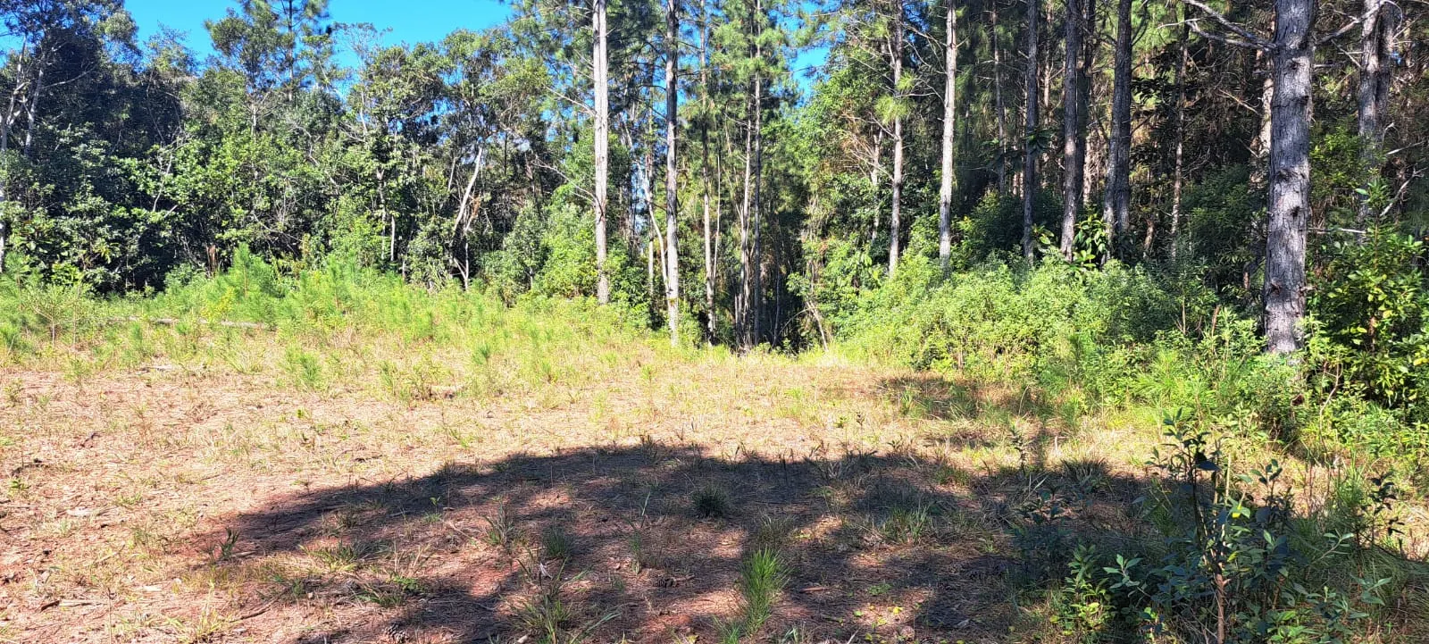 Sítio à venda de 27 ha em Pedro de Toledo, SP, Brasil