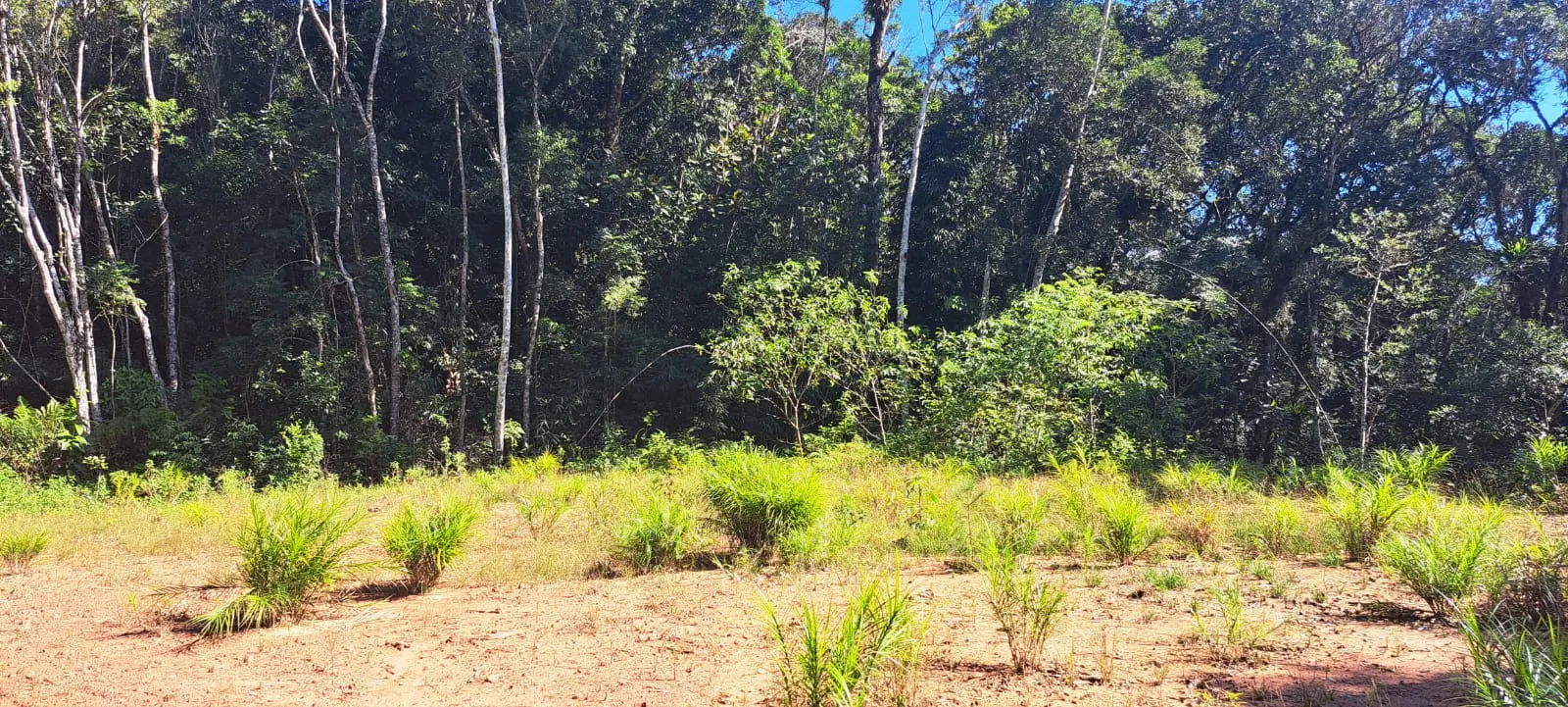 Sítio à venda de 27 ha em Pedro de Toledo, SP, Brasil