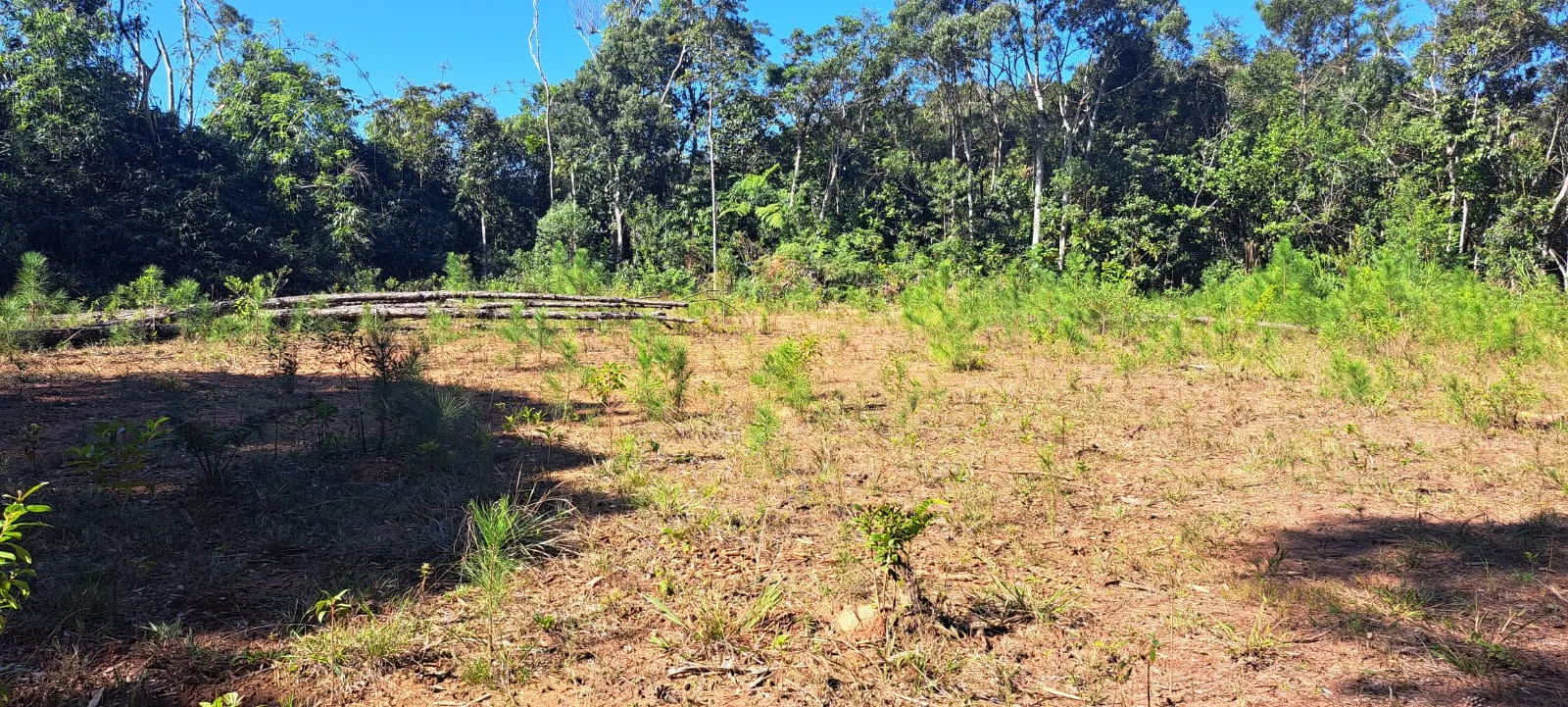 Sítio à venda de 27 ha em Pedro de Toledo, SP, Brasil