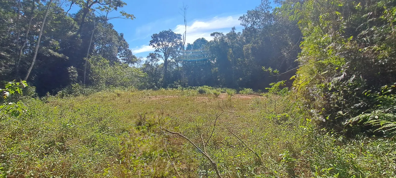 Sítio à venda de 27 ha em Pedro de Toledo, SP, Brasil