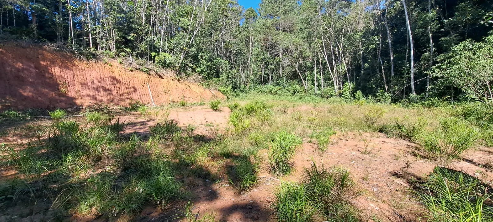 Sítio à venda de 27 ha em Pedro de Toledo, SP, Brasil
