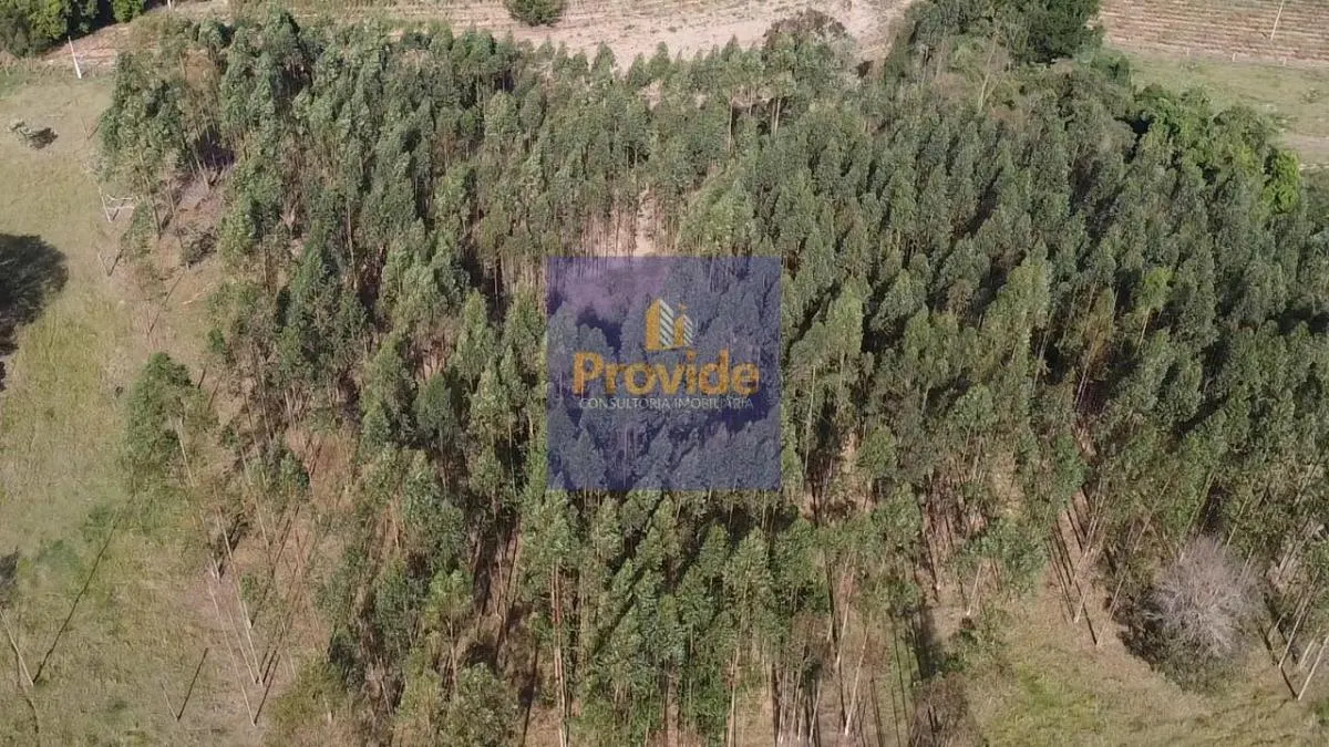 Small farm for sale of 12 acres in Botucatu, SP, Brazil