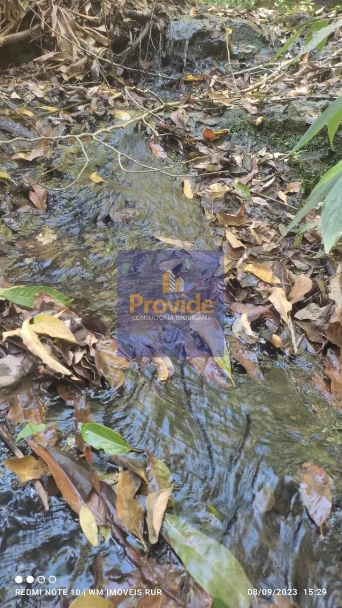 Small farm for sale of 12 acres in Botucatu, SP, Brazil