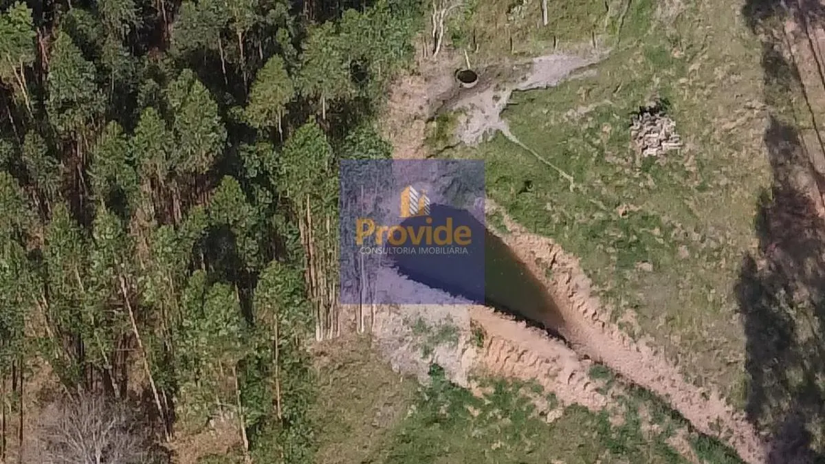 Small farm for sale of 12 acres in Botucatu, SP, Brazil