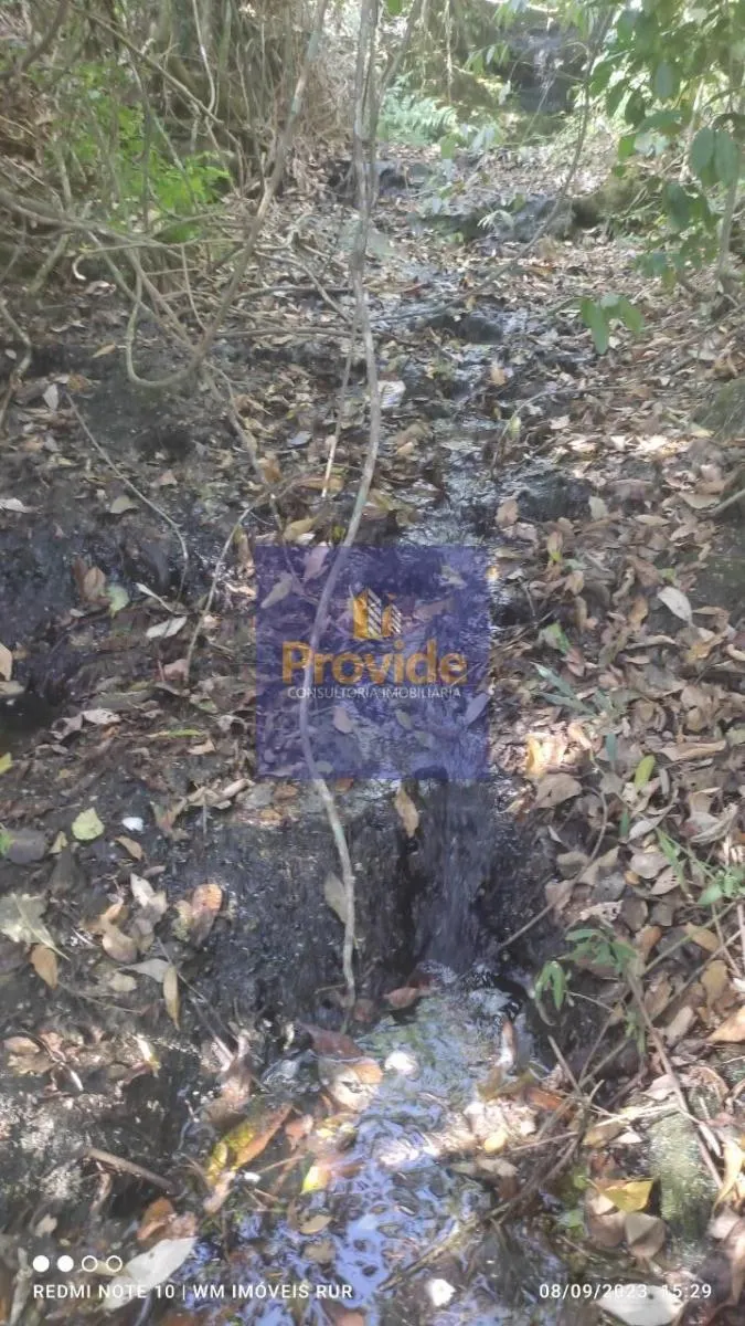 Small farm for sale of 12 acres in Botucatu, SP, Brazil
