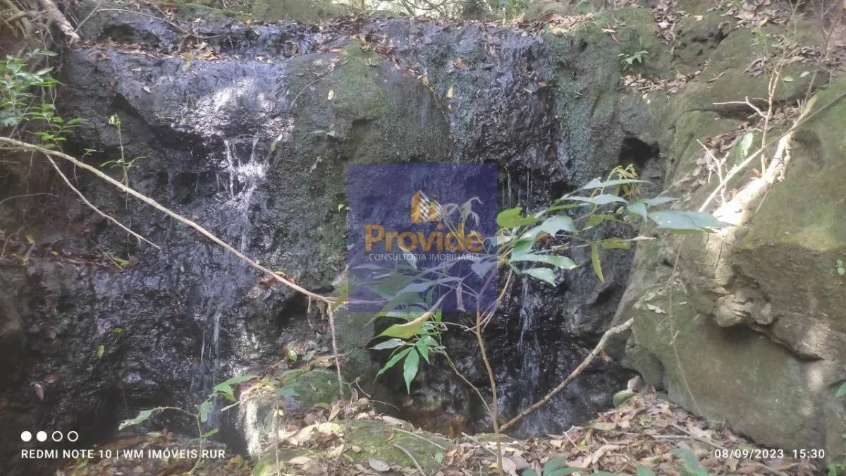 Small farm for sale of 12 acres in Botucatu, SP, Brazil