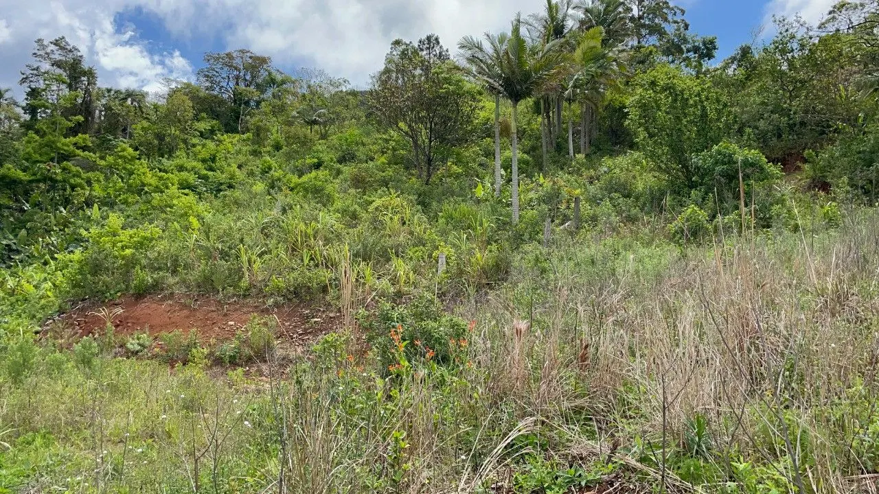 Chácara à venda de 3.300 m² em Maquiné, RS, Brasil