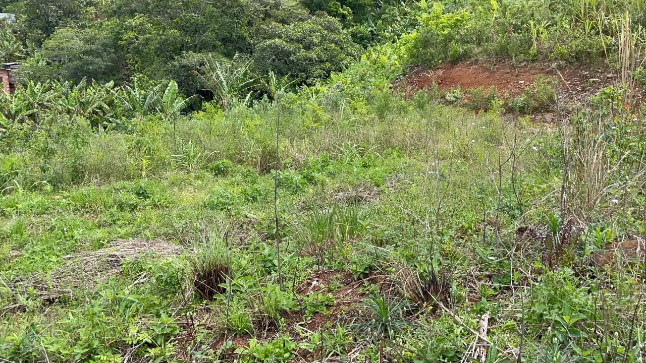 Chácara à venda de 3.300 m² em Maquiné, RS, Brasil