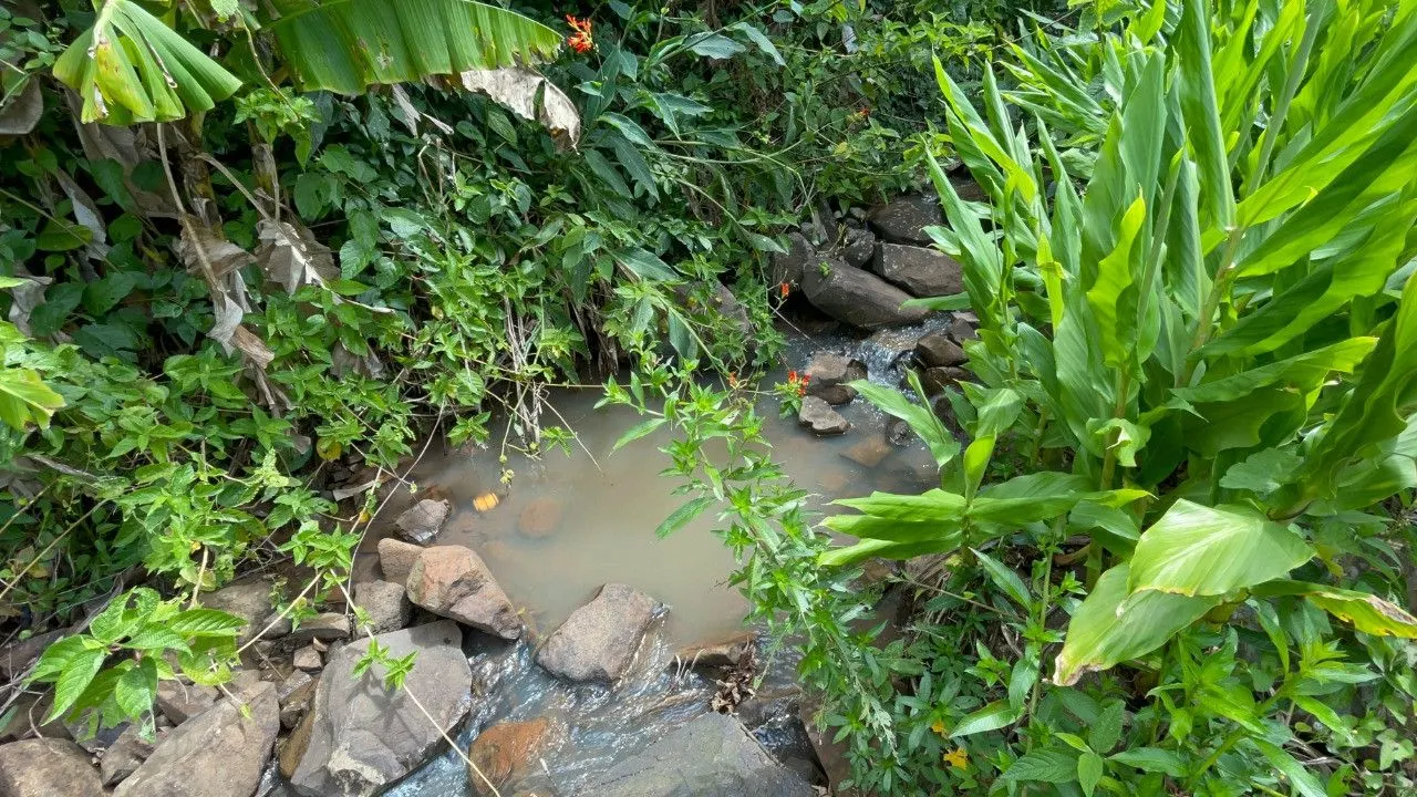 Chácara à venda de 3.300 m² em Maquiné, RS, Brasil