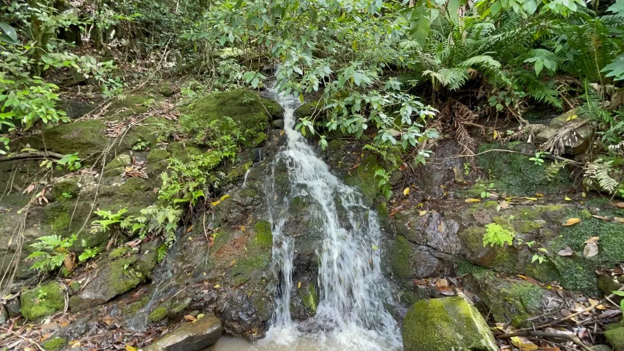 Chácara à venda de 3.300 m² em Maquiné, RS, Brasil