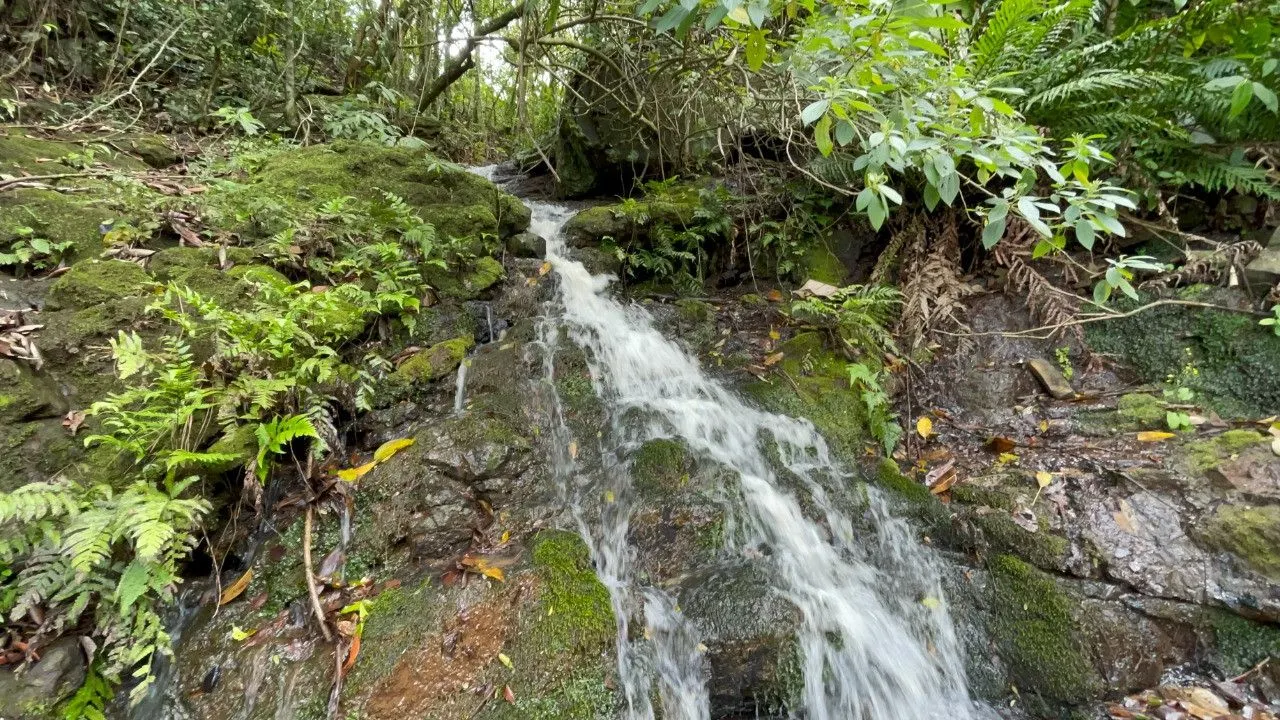 Chácara à venda de 3.300 m² em Maquiné, RS, Brasil