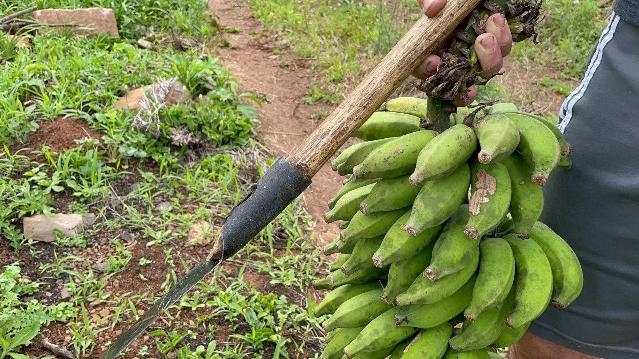 Chácara à venda de 3.300 m² em Maquiné, RS, Brasil