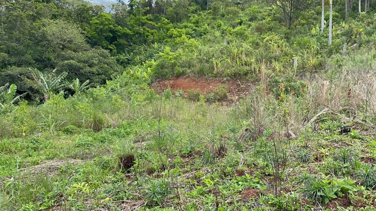 Chácara à venda de 3.300 m² em Maquiné, RS, Brasil