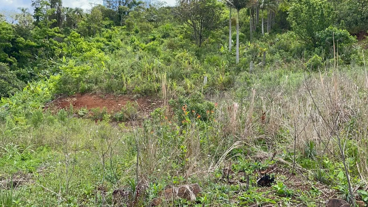 Chácara à venda de 3.300 m² em Maquiné, RS, Brasil