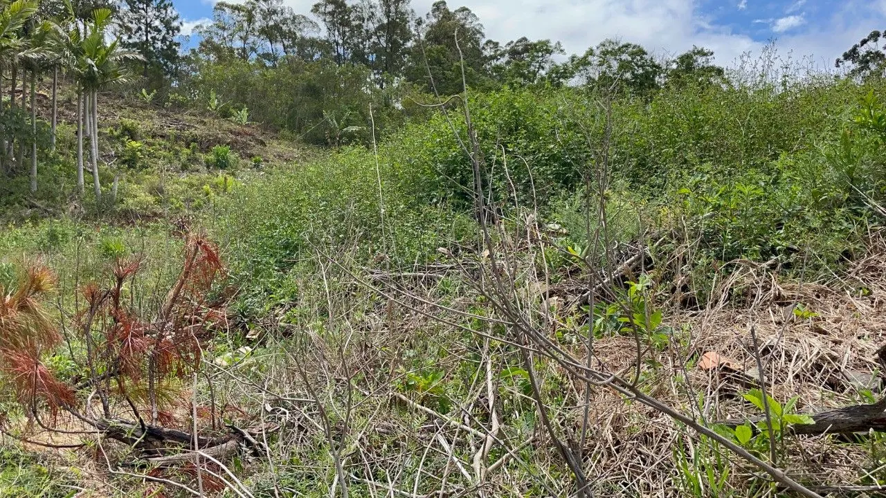 Chácara à venda de 3.300 m² em Maquiné, RS, Brasil