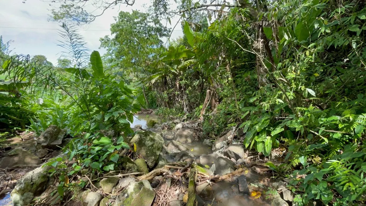 Chácara à venda de 3.300 m² em Maquiné, RS, Brasil