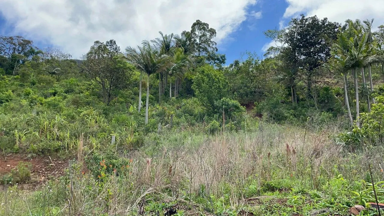 Chácara à venda de 3.300 m² em Maquiné, RS, Brasil