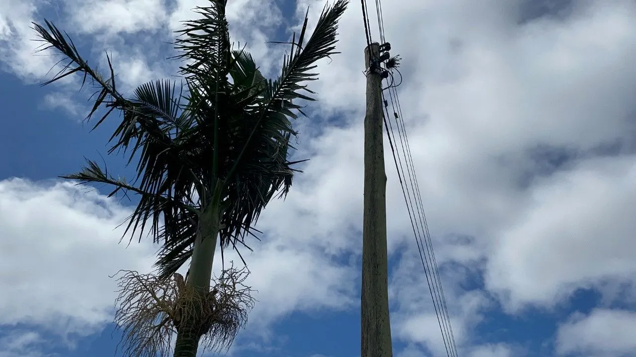 Chácara à venda de 3.300 m² em Maquiné, RS, Brasil