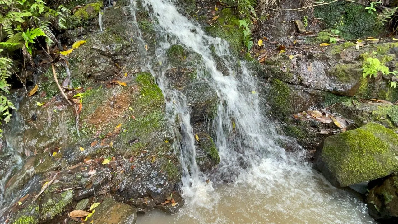 Chácara à venda de 3.300 m² em Maquiné, RS, Brasil