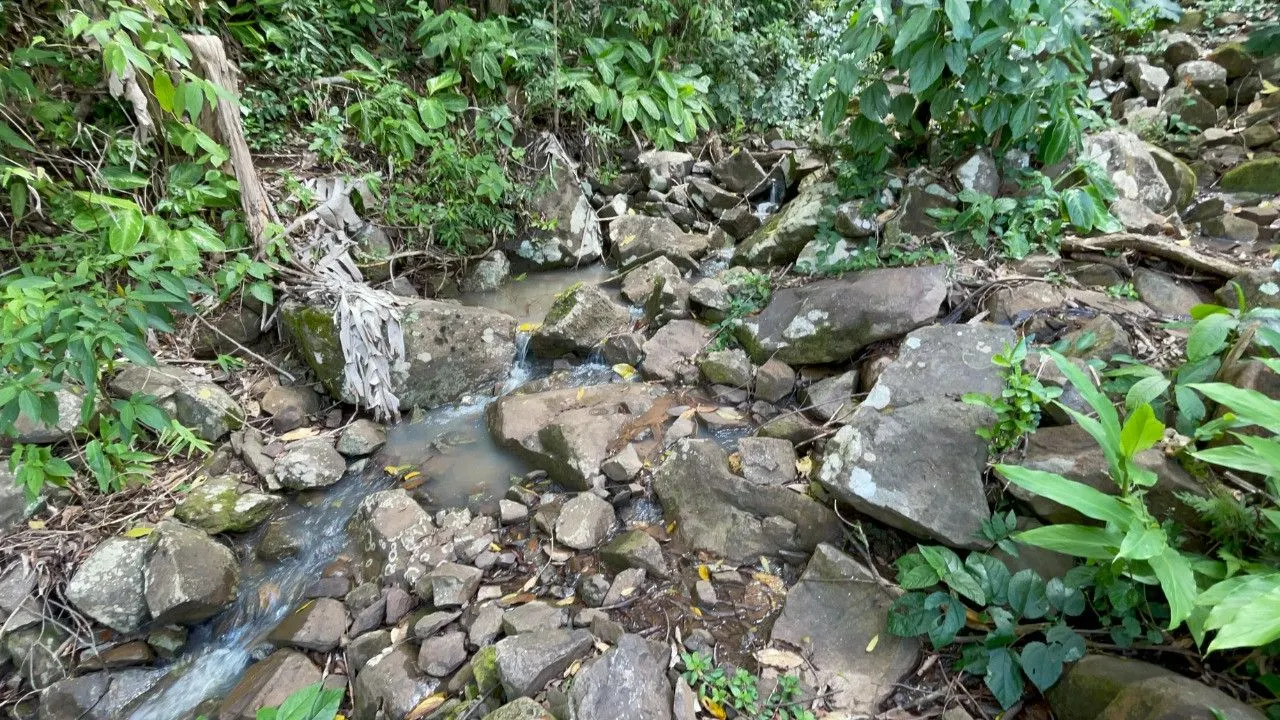 Chácara à venda de 3.300 m² em Maquiné, RS, Brasil
