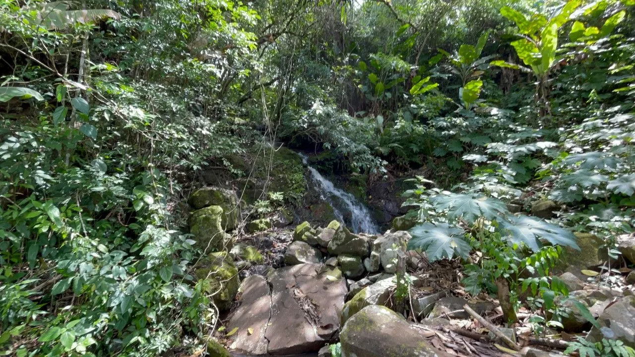 Chácara à venda de 3.300 m² em Maquiné, RS, Brasil