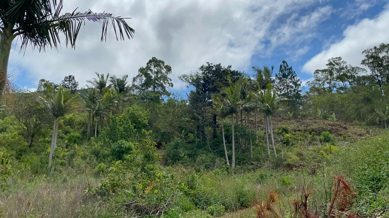 Chácara à venda de 3.300 m² em Maquiné, RS, Brasil