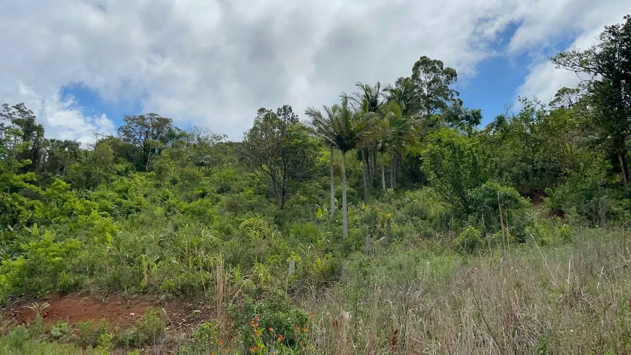 Chácara à venda de 3.300 m² em Maquiné, RS, Brasil