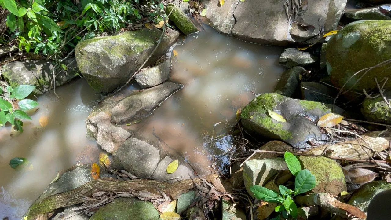 Chácara à venda de 3.300 m² em Maquiné, RS, Brasil