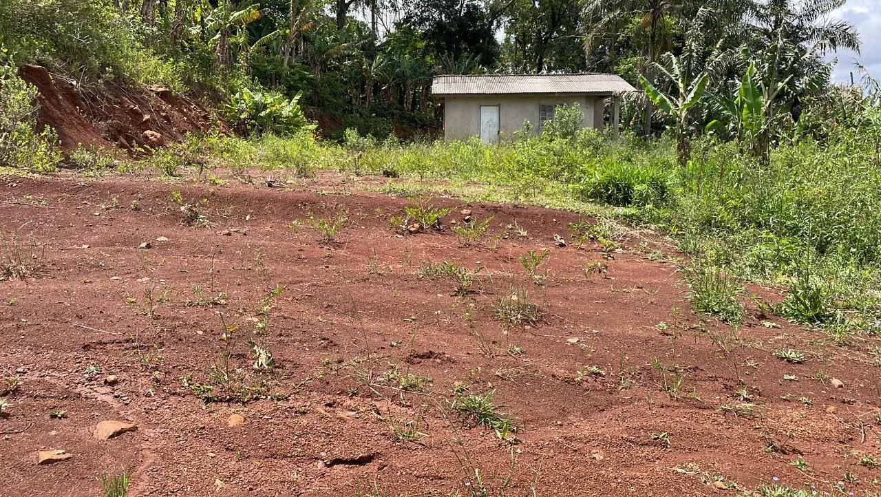 Chácara à venda de 3.300 m² em Maquiné, RS, Brasil