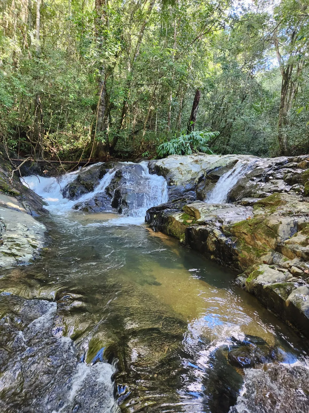 Small farm for sale of 126 acres in Delfinópolis, MG, Brazil