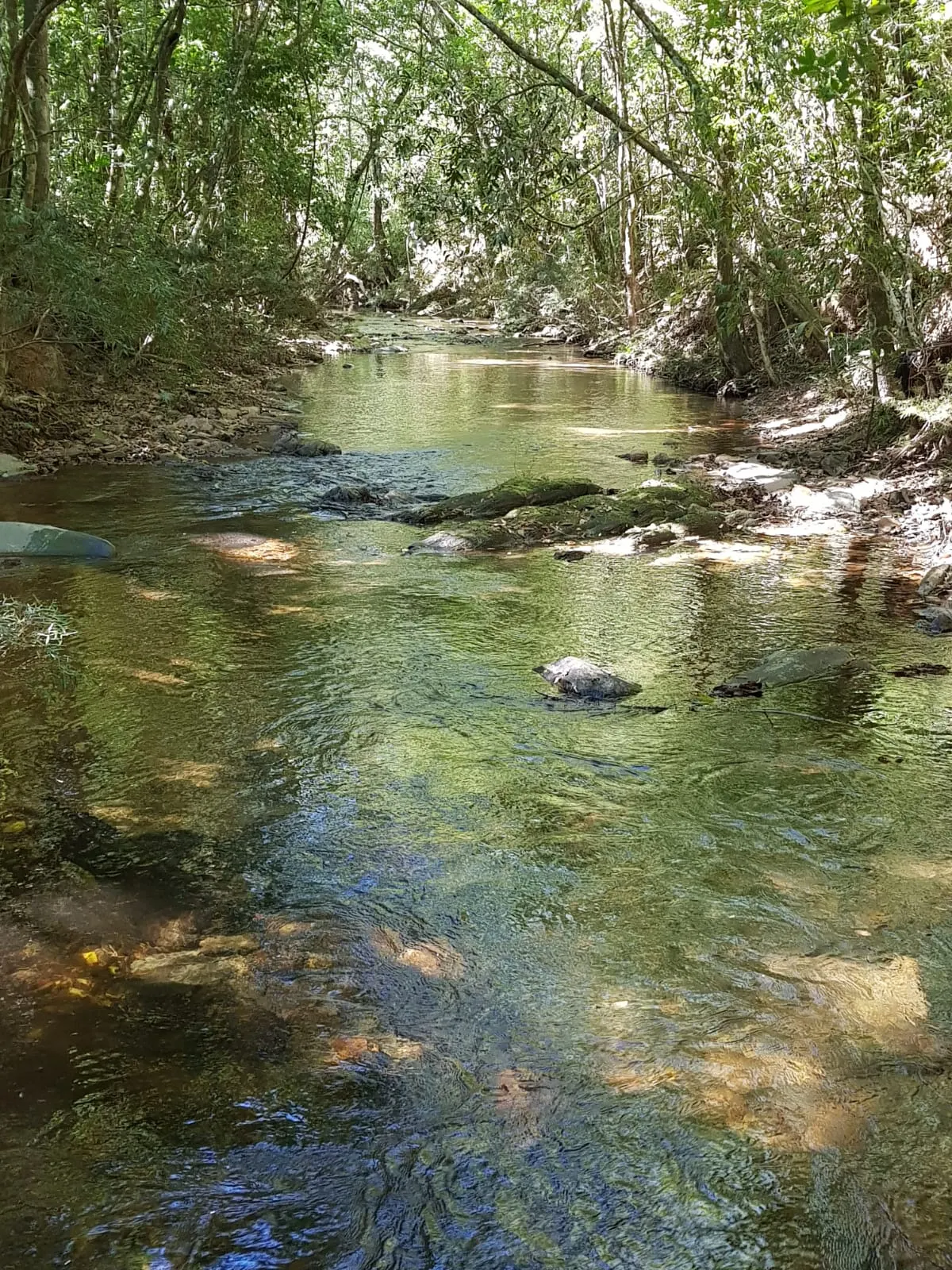 Small farm for sale of 126 acres in Delfinópolis, MG, Brazil