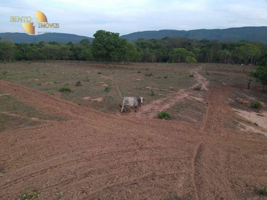 Fazenda à venda de 1.610 ha em Alto Paraguai, MT, Brasil