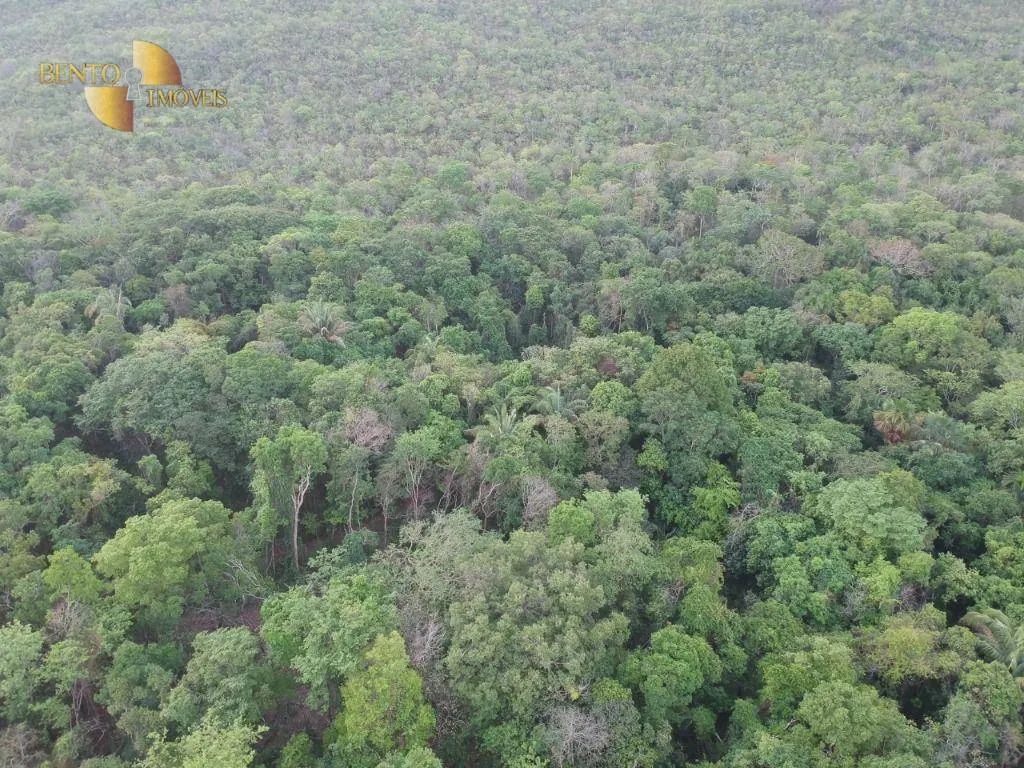 Fazenda à venda de 1.610 ha em Alto Paraguai, MT, Brasil