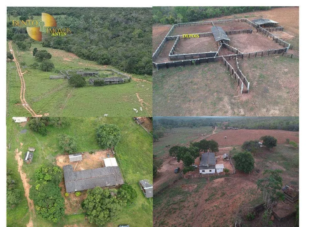 Fazenda à venda de 1.610 ha em Alto Paraguai, MT, Brasil
