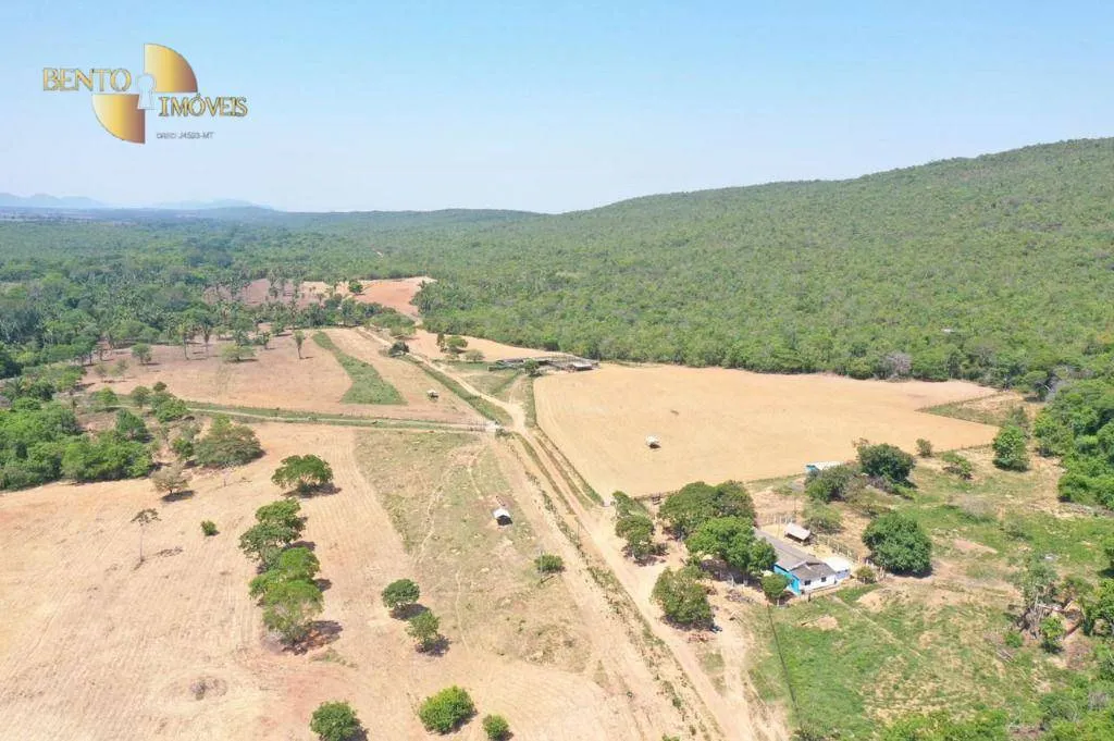 Fazenda à venda de 1.610 ha em Alto Paraguai, MT, Brasil