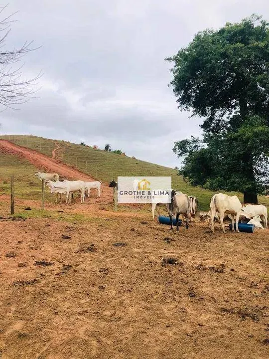 Sítio à venda de 21 ha em Taubaté, SP, Brasil