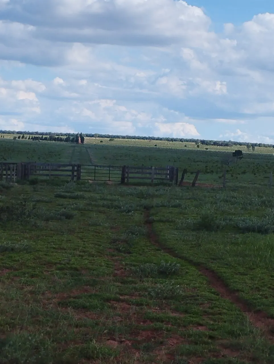 Fazenda à venda de 3.005 ha em Ribas do Rio Pardo, MS, Brasil
