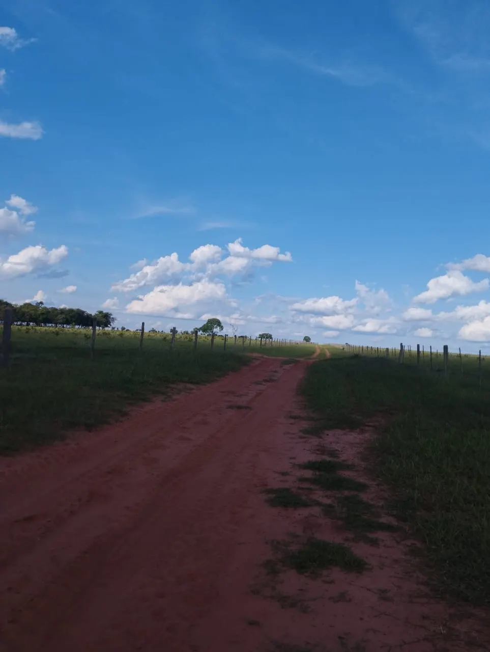 Fazenda à venda de 3.005 ha em Ribas do Rio Pardo, MS, Brasil