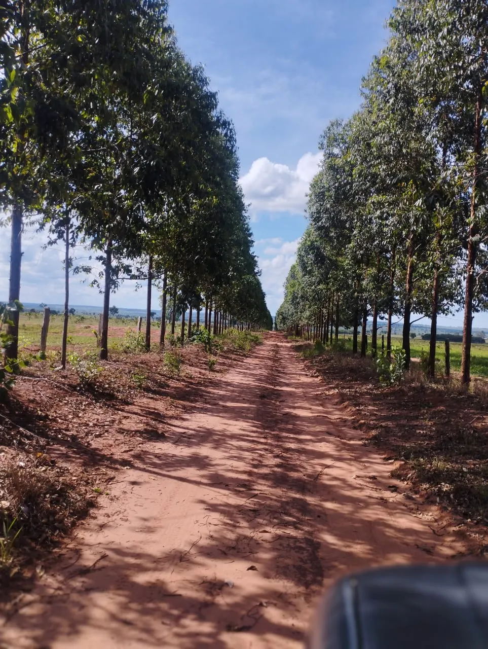 Fazenda à venda de 3.005 ha em Ribas do Rio Pardo, MS, Brasil