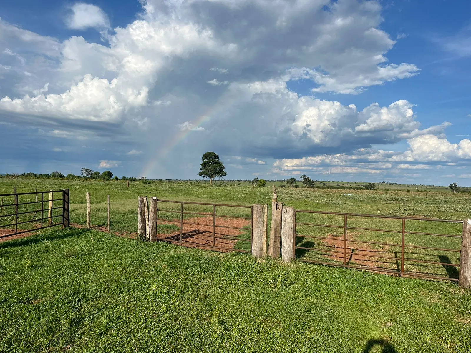Fazenda à venda de 3.005 ha em Ribas do Rio Pardo, MS, Brasil