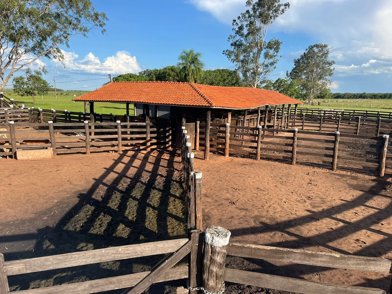 Fazenda à venda de 3.005 ha em Ribas do Rio Pardo, MS, Brasil
