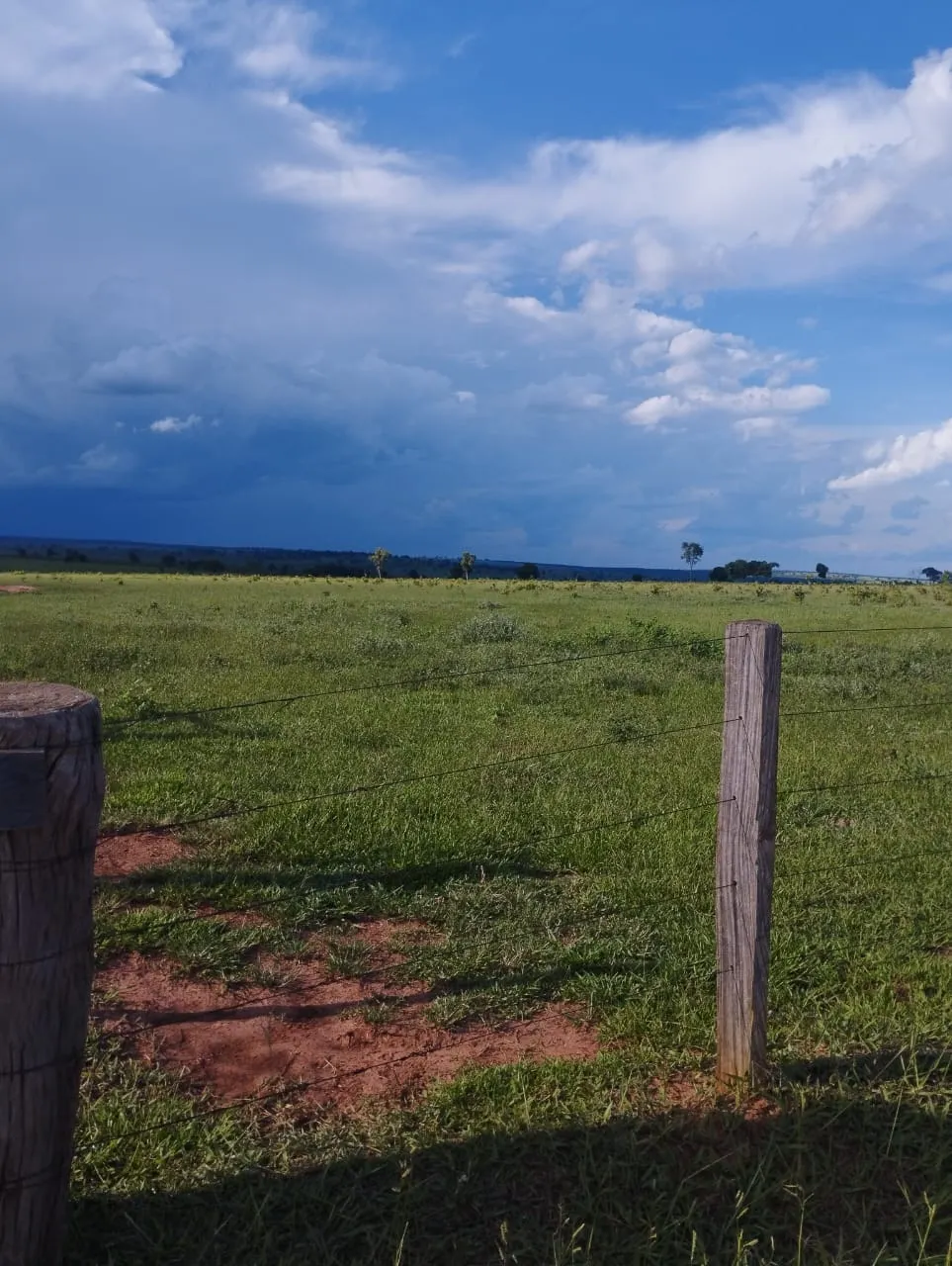 Fazenda à venda de 3.005 ha em Ribas do Rio Pardo, MS, Brasil